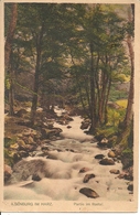 Ilsenburg Im Harz. (Deutschland, Sachsen Anhalt) Partie Im Ilsetal - Ilsenburg