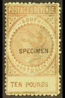 \Y SOUTH AUSTRALIA\Y 1886-96 £10 Bronze, Perf 11½-12, With "SPECIMEN" Overprint, SG 206as, Unused Without Gum. For More  - Sonstige & Ohne Zuordnung