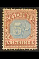 \Y VICTORIA\Y 1890-94 Postage Due 5s Dull Blue And Brown Lake, SG D10, Mint With Large Part Gum. For More Images, Please - Other & Unclassified