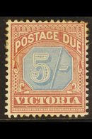 \Y VICTORIA\Y 1890-94 Postage Due 5s Dull Blue And Brown Lake, SG D10, Mint With Large Part Gum. For More Images, Please - Autres & Non Classés