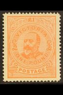 \Y VICTORIA\Y 1905-13 £1 Salmon King Edward VII,  Perf. 12½, SG 431, Superb Mint. For More Images, Please Visit Http://w - Autres & Non Classés