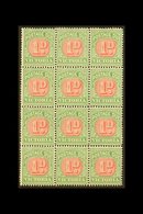 \Y VICTORIA\Y POSTAGE DUE 1895-6 1d Pale Scarlet & Yellow-green, BLOCK OF TWELVE (3x4), SG D12a, Never Hinged Mint, Few  - Autres & Non Classés