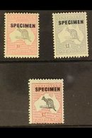 \Y 1932-35\Y Roo 10s, £1 & £2 Overprinted "SPECIMEN", SG 136s/38s, Very Fine Mint. (3 Stamps) For More Images, Please Vi - Other & Unclassified