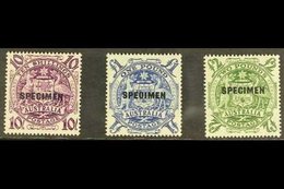 \Y 1948-56\Y 10s, £1, And £2 Arms Overprinted "SPECIMEN", SG 224bs/224ds, Never Hinged Mint. (3 Stamps) For More Images, - Autres & Non Classés