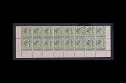 \Y 1950-52\Y 2d Yellow-green COIL PERFORATION BLOCK Of 16, SG 237b, Never Hinged Mint Two Bottom Rows Of Pane With Margi - Altri & Non Classificati