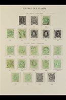 \Y POSTAGE DUE\Y 1902-1960 Mint And Used (mostly Used) All Different Collection On Printed Pages. With 1902 2d To 4d, 19 - Other & Unclassified