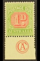 \Y POSTAGE DUES\Y 1909 1d Rosine And Yellow Green, SG D64, Superb Mint With Bottom Margin Showing "CA" Monogram. For Mor - Autres & Non Classés