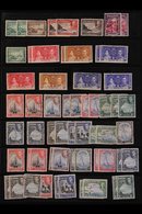 \Y 1883-2000s MINT & USED ACCUMULATION\Y An Interesting Accumulation On Stock Pages Full Of Stamps, Briefly We See Small - Bermuda