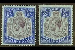 \Y 1924-32\Y 2s, The Two Shades, SG 88 & 88g, Fine Mint. (2) For More Images, Please Visit Http://www.sandafayre.com/ite - Bermudes