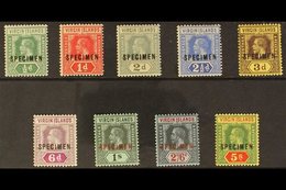 \Y 1913 - 19\Y Geo V Die I Set Complete, Overprinted "Specimen", SG 69s/77s, Very Fine Mint. (9 Stamps) For More Images, - British Virgin Islands