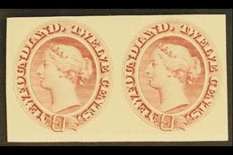 \Y 1865\Y 12c Chestnut, As SG 28, Die Proof In Reddish Brown On Card, Uni 28Pi, Horizontal Pair, Very Fine And Fresh. Fo - Autres & Non Classés