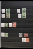 \Y 1897-1947 FINE MINT COLLECTION\Y We See A Few QV Stamps, Strength Lies In 1910 Onwards, Note 1911-16 1c, 2c Perf.14,  - Andere & Zonder Classificatie