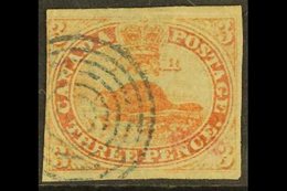 \Y 1851\Y 3d Red "Beaver" Imperf On Laid Paper, SG 1, Good Used With Three Good To Large Margins And Neat Target Cancell - Other & Unclassified