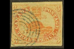 \Y 1851\Y 3d Red "Beaver" Imperf On Laid Paper, SG 1, Good Used With Three Good To Large Margins And Neat Target Cancell - Altri & Non Classificati