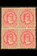 \Y 1893-1900\Y 2½d Rose-carmine Queen, SG 8a, Scarce Mint Block Of Four With Large Part Gum, Light Paper Adherence And F - Cookinseln