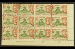 \Y 1951\Y 6c Olive & Chestnut "A" OF "CA" MISSING FROM WATERMARK Variety (SG 126b, MP 22b) Within Superb Never Hinged Mi - Dominica (...-1978)