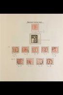 \Y POSTAGE DUES\Y 1884-1952. A SEMI-SPECIALIZED COLLECTION Presented On A Series Of Album Pages With A Mint & Used Range - Altri & Non Classificati