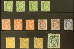 \Y 1904-12\Y KEVII Set To 3s Green, SG 43/49, Plus Some Additional Shades To 1s, Mint, Mostly Fine And Fresh. (14 Stamps - Falklandinseln