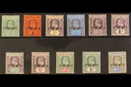 \Y 1903\Y Wmk Crown CA Complete Set Overprinted "SPECIMEN", SG 104s/114s, Fine Mint (11 Stamps)  For More Images, Please - Fiji (...-1970)