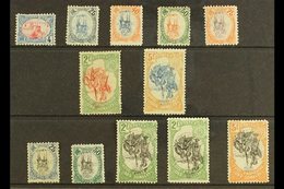 \Y SOMALI COAST\Y 1902-03 "INVERTED CENTRES" Mint Range To 5f On A Stock Card. (12 Stamps) For More Images, Please Visit - Andere & Zonder Classificatie