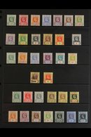 \Y 1902-1938 FINE MINT COLLECTION\Y On Stock Pages, ALL DIFFERENT, Includes 1902-05 Set, Plus 2s With "Specimen" Opt, 19 - Gambia (...-1964)
