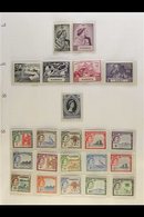 \Y 1945 - 1975 FRESH MINT COLLECTION\Y Highly Complete Mint Collection In Hingeless Mounts On Pages Being NHM From 1961  - Gambie (...-1964)