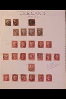 \Y GB USED IN IRELAND\Y 1841-64 PENNY REDS (imperfs, "Stars" & Plate Numbers) Collection Of Used Stamps On A Page, Cance - Other & Unclassified