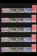 \Y EGEO (DODECANESE ISLANDS)\Y INDIVIDUAL ISLANDS 1930 Overprints On Ferrucci All Thirteen Complete Local Sets For The I - Other & Unclassified