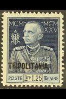 \Y TRIPOLITANIA\Y 1925-26 1.25 L Blue Perf 11 Royal Jubilee Overprint (Sassone 25, SG 24b), Very Fine Mint With Only The - Autres & Non Classés