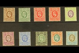 \Y 1907 - 8\Y Ed VII Set, Wmk MCA, SG 34/43, Fine To Very Fine Mint. (10 Stamps) For More Images, Please Visit Http://ww - Vide