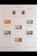 \Y 1939-54 KGVI FINE USED COLLECTION\Y Neatly Presented On Pages, KGVI Period Basic Issues Complete, Includes 1939 India - Kuwait