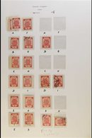 \Y 1918 TO 1921 FIRST DESIGNS - A SPECIALISTS COLLECTION.\Y A Spectacular Collection On 34 Pages Of Mint And Used Stamps - Lettonie
