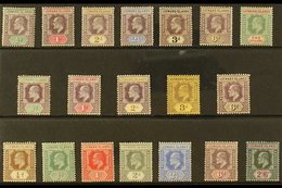 \Y 1902-11 KEVII MINT COLLECTION\Y Presented On A Stock Card & Includes 1902 CA Wmk Set To 1s, 1905-08 MCA Wmk Range Wit - Leeward  Islands