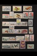 \Y 1959-1973 COLLECTION\Y Virtually All Different, Mint (mostly Never Hinged) And Used, Including Many Complete Postage  - Autres & Non Classés