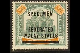 \Y FEDERATED STATES\Y 1900 $25 Green And Orange "Elephants", Ovptd "Specimen", SG 14s, Fine Mint, Few Nibbed Perfs At Ba - Autres & Non Classés