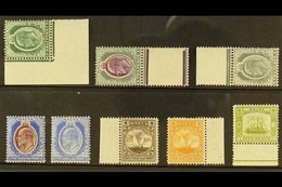 \Y 1904-14\Y NEVER HINGED MINT Group, Wmk Mult. Crown CA, Incl. Both 2d, 2½d & 4½d Plus ½d Deep Green, 5d Pale Sage-gree - Malta (...-1964)