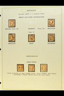 \Y 1852 ATTRACTIVE USED COLLECTION\Y Written Up On Leaves With Shades & Postmark Interest - All Stamps With Identified P - Sonstige & Ohne Zuordnung