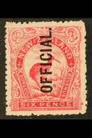 \Y OFFICIAL\Y 1907-11 6d Bright Carmine-pink, SG O64, Very Fine Mint. For More Images, Please Visit Http://www.sandafayr - Other & Unclassified