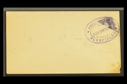 \Y 1899\Y (Aug 24) Cover To Greytown Bearing 1898 10c Violet Telegraph BISECT Tied By Bluefields Violet Oval Datestamp;  - Nicaragua