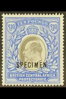 \Y 1903-04\Y £10 Grey And Blue Opt'd "SPECIMEN", SG 67s, Mint Part OG, Very Fresh And Attractive. For More Images, Pleas - Nyassaland (1907-1953)