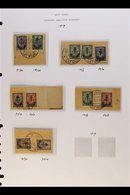 \Y 1919 WESTERN ARMY\Y 1919 (Nov) Surcharges On Russian Stamps, A Beautiful Group Of Stamps Very Fine Used Tied To Piece - Andere & Zonder Classificatie