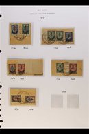 \Y 1919 WESTERN ARMY\Y 1919 (Nov) Surcharges On Russian Stamps, A Beautiful Group Of Stamps Very Fine Used Tied To Piece - Autres & Non Classés