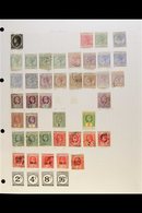 \Y 1864-2002 EXTENSIVE COLLECTION\Y A Most Useful Mint & Used Collection, Often With Duplication That Includes QV Ranges - Ste Lucie (...-1978)