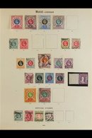 \Y NATAL\Y 1859-1909 Nicely Represented Mint And Used Collection On "Imperial" Printed Pages. Note Range Of Chalon Types - Zonder Classificatie