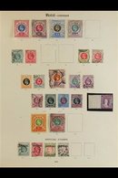 \Y NATAL\Y 1859-1909 Nicely Represented Mint And Used Collection On "Imperial" Printed Pages. Note Range Of Chalon Types - Non Classificati