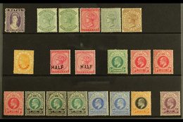 \Y NATAL\Y 1863-1908 MINT Selection On A Stock Card. QV To 1s, KEVII To 6d. Cat £200+ (20 Stamps) For More Images, Pleas - Non Classificati