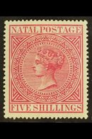 \Y NATAL\Y 1874 5s Rose, SG 72, Very Fine And Fresh Mint. For More Images, Please Visit Http://www.sandafayre.com/itemde - Unclassified