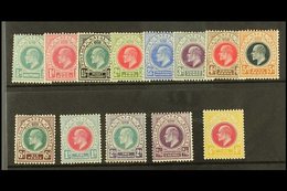 \Y NATAL\Y 1902-03 Complete Set SG 127/139, Fine Mint. (13 Stamps) For More Images, Please Visit Http://www.sandafayre.c - Zonder Classificatie