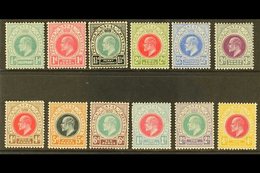 \Y NATAL\Y 1902-03 Set To 4s (less 2s.6d), SG 127/139, Very Fine Mint. (12 Stamps) For More Images, Please Visit Http:// - Unclassified