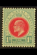 \Y NATAL\Y 1904-8 1s Carmine & Pale Blue, Wmk Mult Crown CA, SG 155, Very Slightly Toned Gum, Otherwise Never Hinged Min - Zonder Classificatie